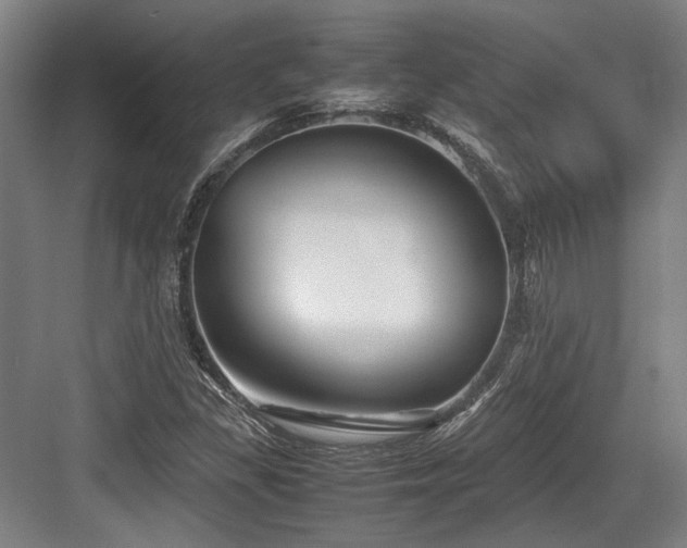 X0000083661309200702121205