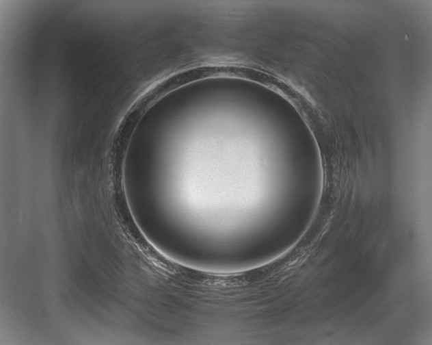 X0000083661311200702121205