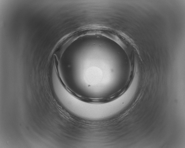 X0000083661314200702121205