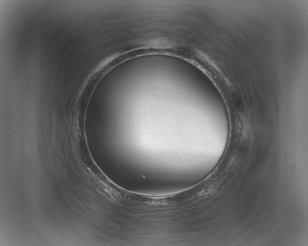 X0000083661315200702121205