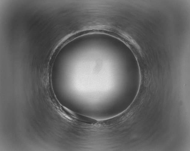 X0000083661316200702121205