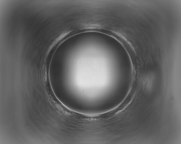 X0000083661317200702121205