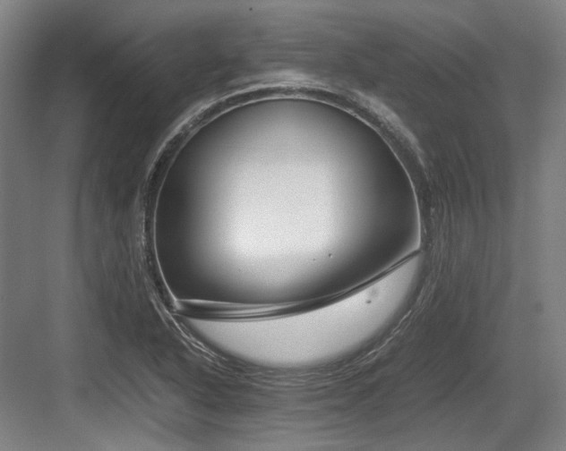 X0000083661318200702121205