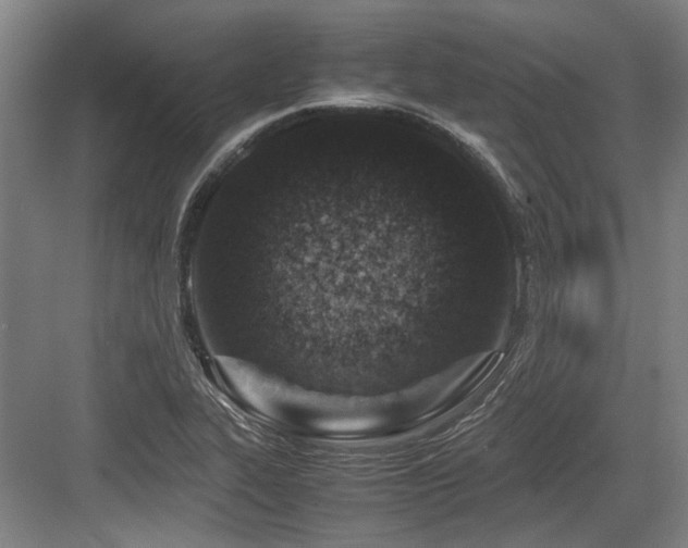 X0000083661319200702121205