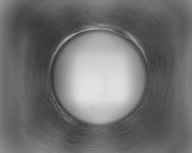 X0000083661320200702121206