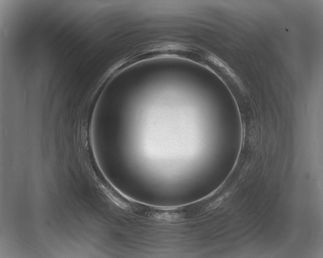 X0000083661321200702121206