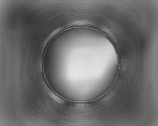 X0000083661322200702121206
