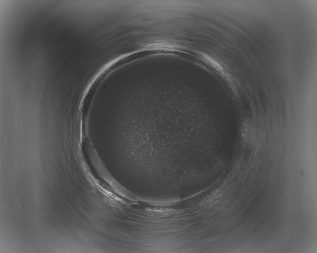 X0000083661323200702121206