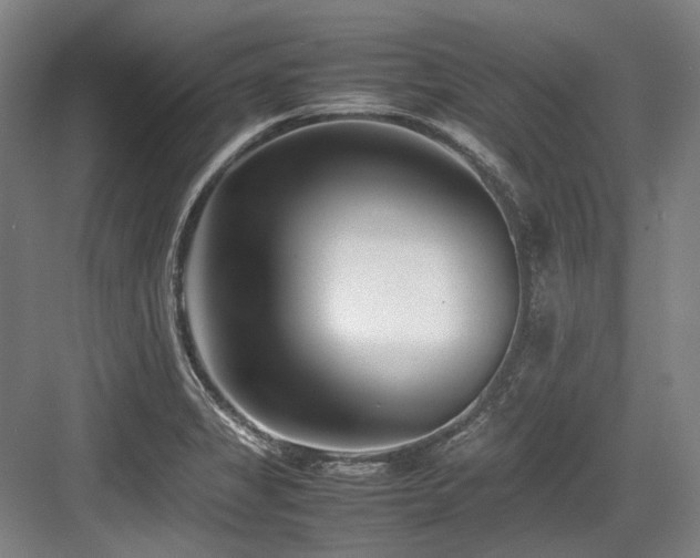 X0000083661325200702121206