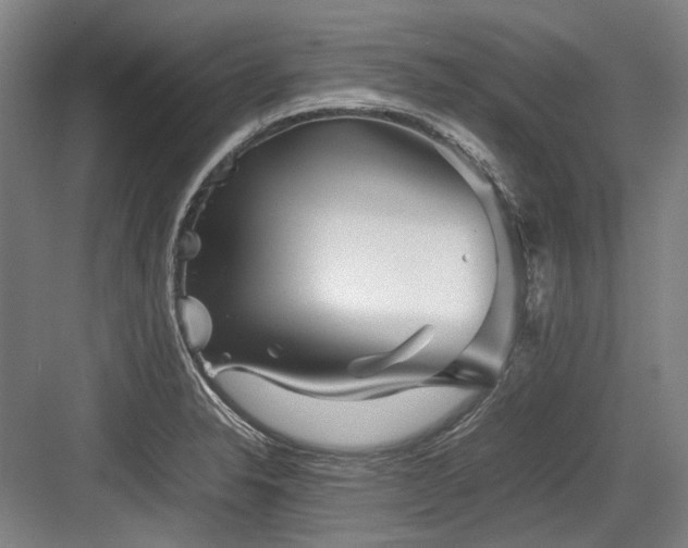 X0000083661326200702121206