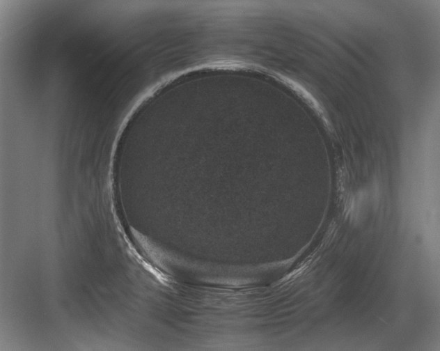 X0000083661327200702121206