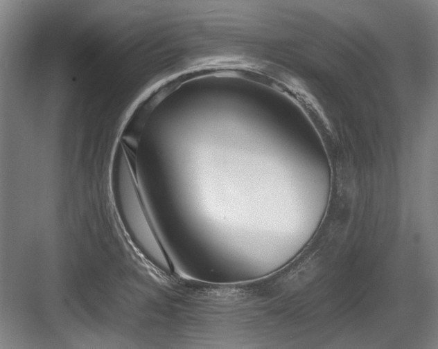 X0000083661328200702121206