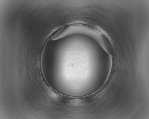 X0000083661329200702121206