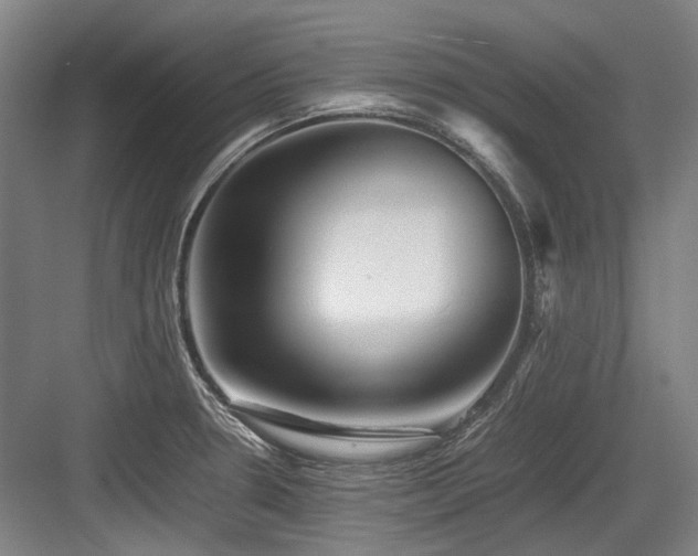 X0000083661330200702121206