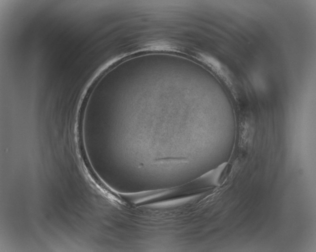 X0000083661331200702121206