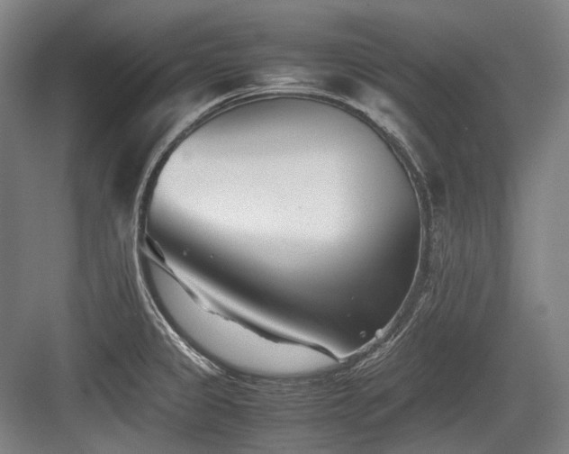 X0000083661333200702121206