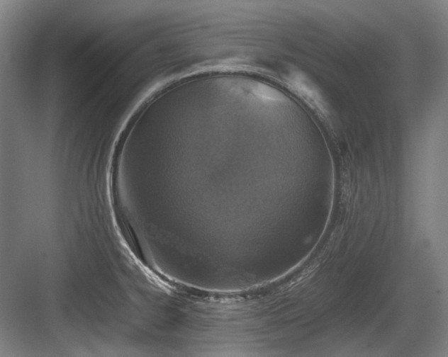 X0000083661334200702121206
