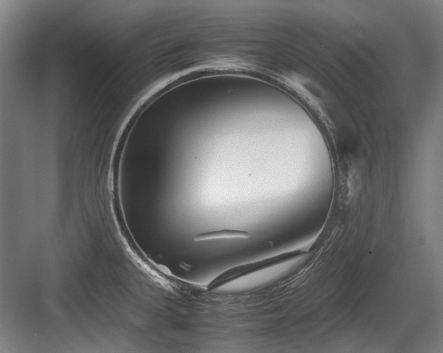 X0000083661335200702121206