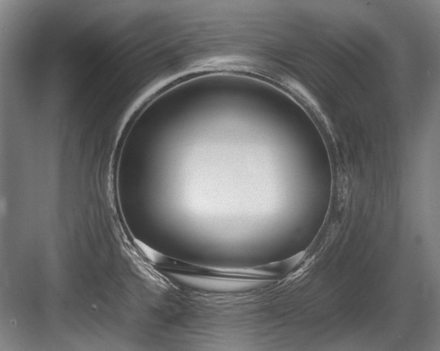 X0000083661336200702121206