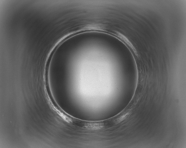 X0000083661339200702121206