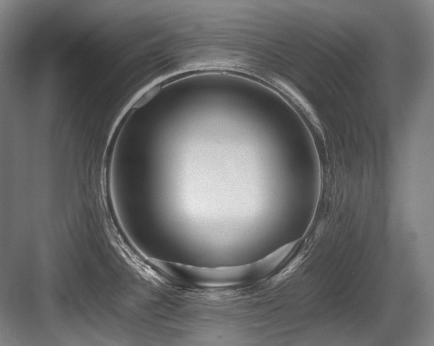 X0000083661340200702121206