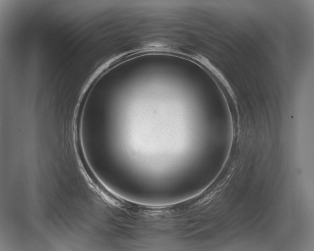 X0000083661341200702121206