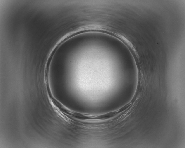 X0000083661342200702121206