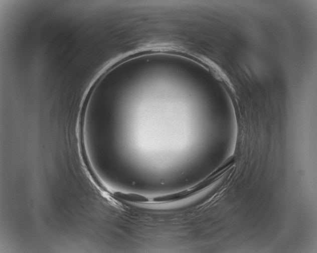 X0000083661343200702121206