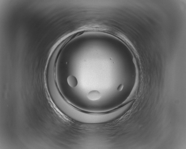 X0000083661344200702121206