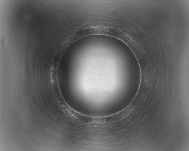 X0000083661346200702121205
