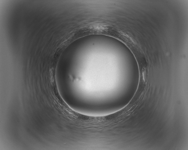 X0000083661347200702121205