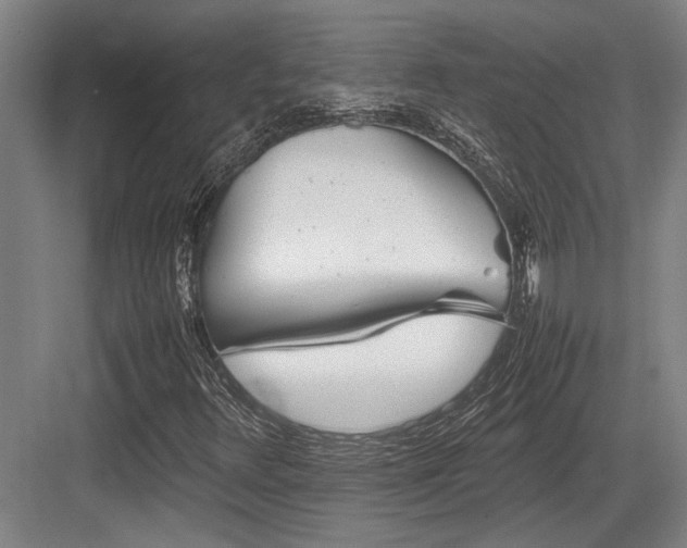 X0000083661348200702121205