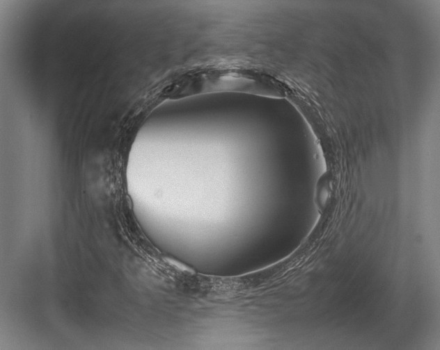 X0000083661349200702121205
