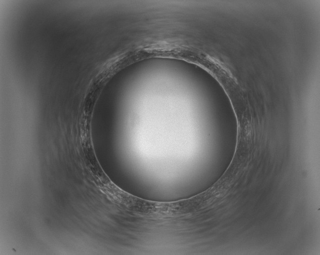 X0000083661350200702121205