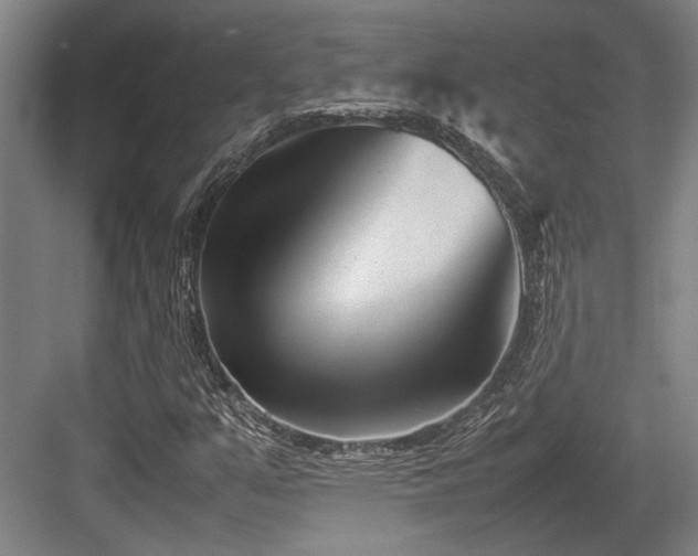 X0000083661351200702121205