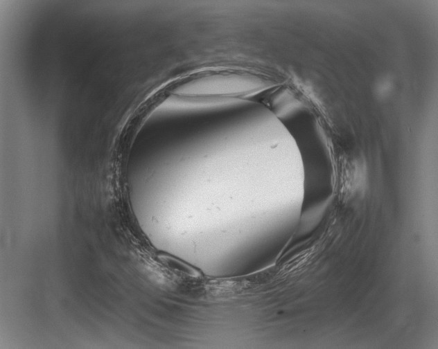 X0000083661352200702121205