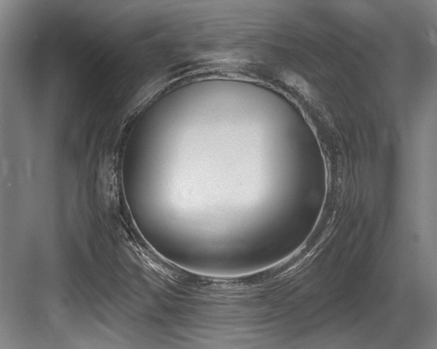 X0000083661354200702121205