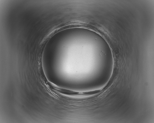 X0000083661355200702121205