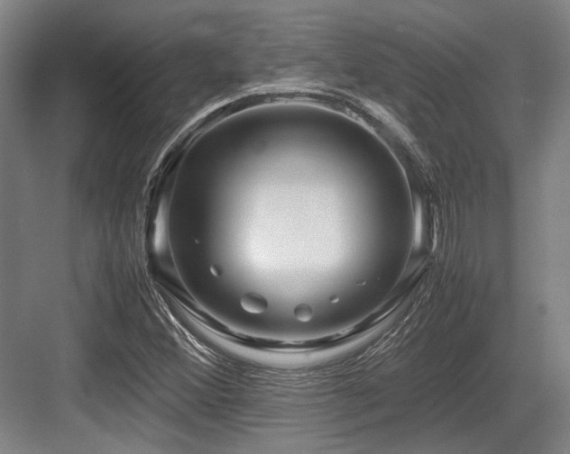 X0000083661356200702121205