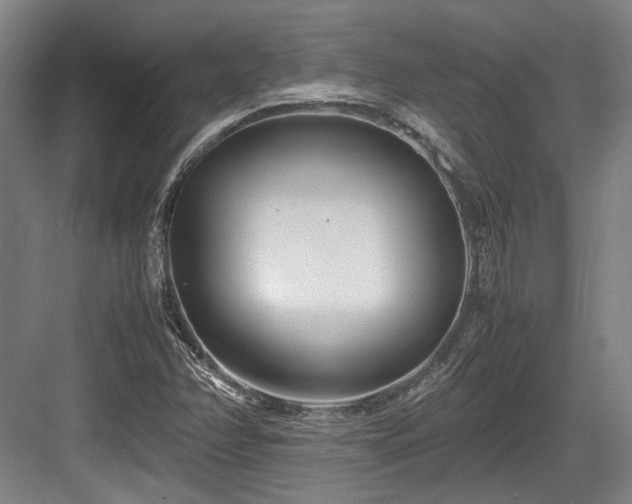 X0000083661358200702121205