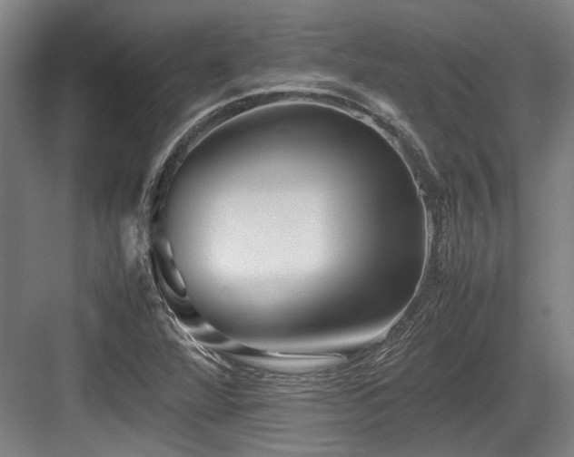 X0000083661360200702121205