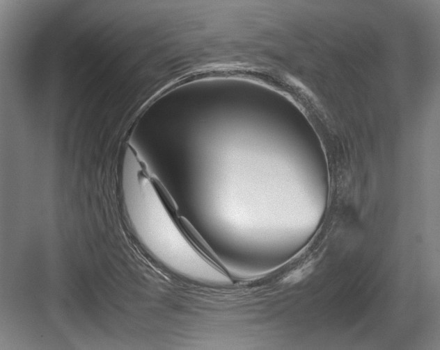 X0000083661361200702121205