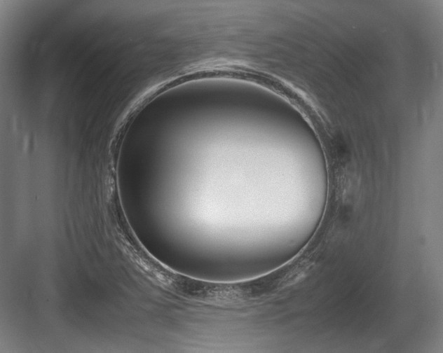 X0000083661363200702121205