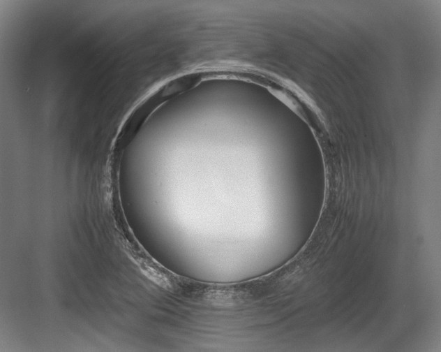 X0000083661364200702121205