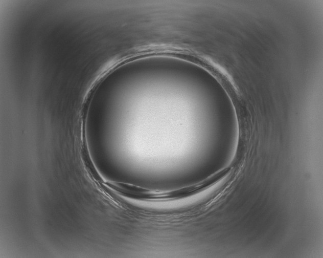 X0000083661365200702121205