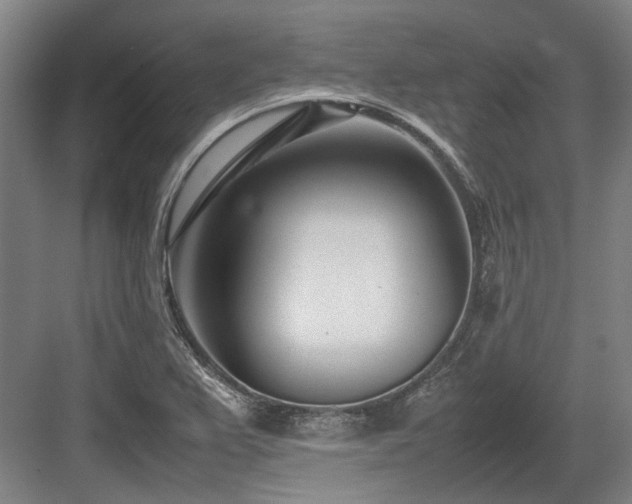 X0000083661367200702121205