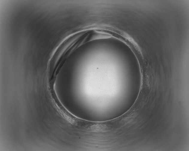 X0000083661368200702121205