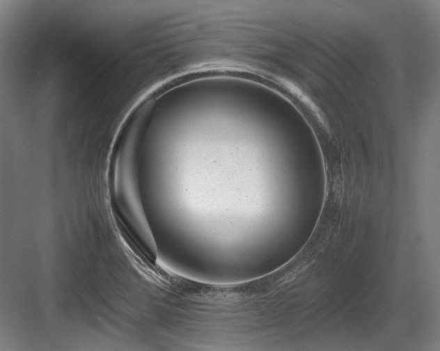 X0000083661372200702121205