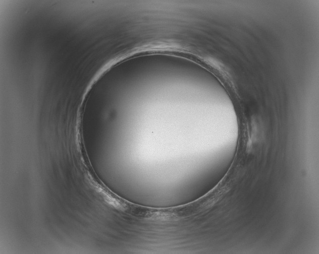 X0000083661374200702121205