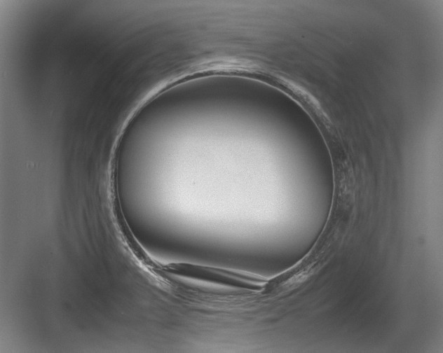 X0000083661375200702121205